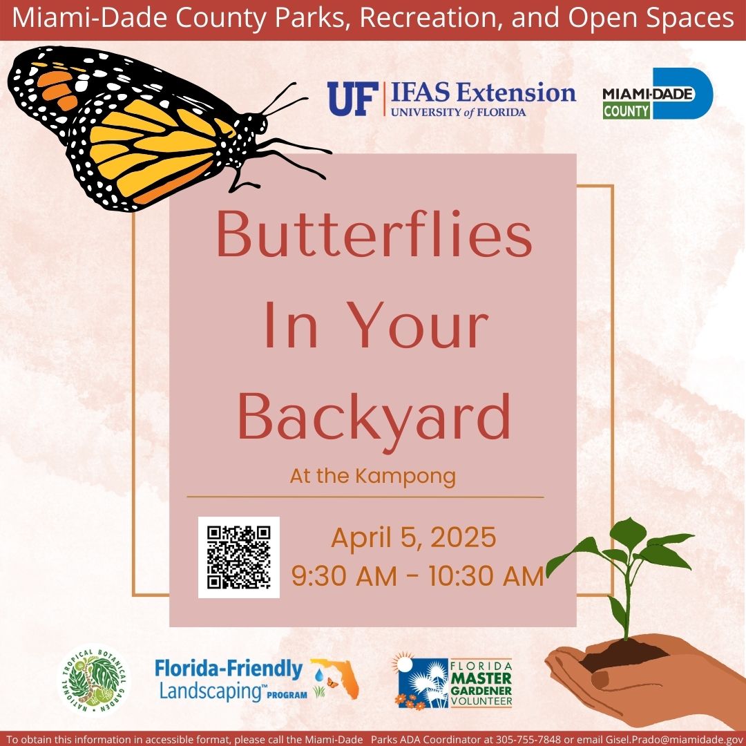 Butterflies at the Kampong Ad